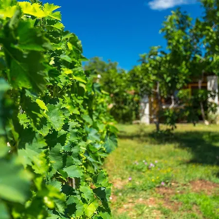 Feriehus Maria Betiga *