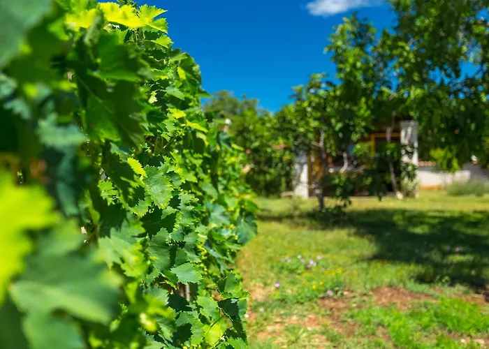 Feriehus Maria Betiga *